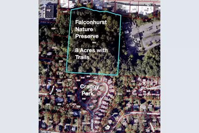 5 Orrinel Way, Asheville, NC 28806 - Photo 44