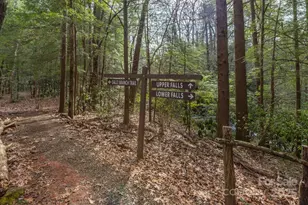 60 Wildflower Ln, Old Fort, NC 28762 - Photo 42