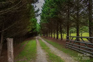 3323 Sadler Rd, Alexis, NC 28006 - Photo 8