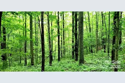 108 Lanning Road, Clyde, NC 28721 - Photo 10