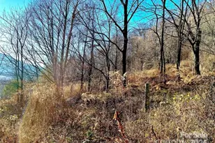 108 Lanning Rd, Clyde, NC 28721 - Photo 12