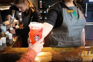 222 W Lake Dr N, Lake Lure, NC 28746 - Photo 40