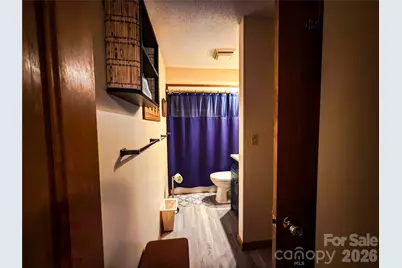 222 West Lake Drive N, Lake Lure, NC 28746 - Photo 20