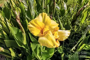 341 Mashburn Branch, Old Fort, NC 28762 - Photo 24