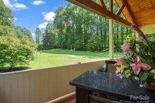 3540 Fork Creek Rd, Saluda, NC 28773 - Photo 30