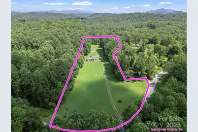 3540 Fork Creek Road, Saluda, NC 28773 - Photo 4