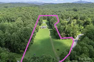 3540 Fork Creek Rd, Saluda, NC 28773 - Photo 4