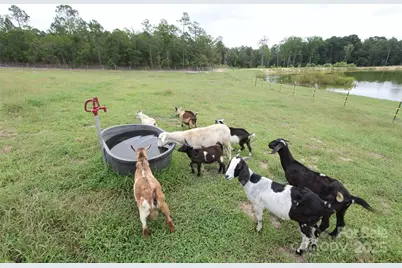 212 Guardian Way, Rockingham, NC 28379 - Photo 42