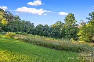 163 Pisgah View Rd, Asheville, NC 28806 - Photo 40