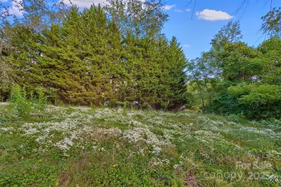 163 Pisgah View Road, Asheville, NC 28806 - Photo 38