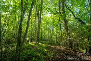 Tbd Boulder Creek Dr, Boone, NC 28607 - Photo 4