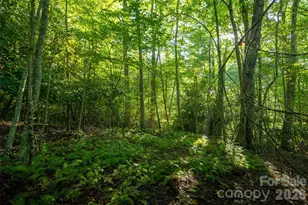 Tbd Boulder Creek Dr, Boone, NC 28607 - Photo 16