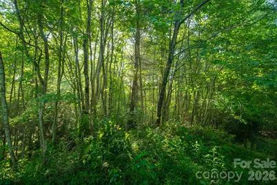 Tbd Boulder Creek Drive #1, Boone, NC 28607 - Photo 32