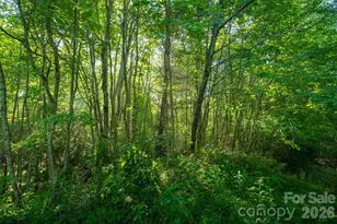 Tbd Boulder Creek Dr, Boone, NC 28607 - Photo 32