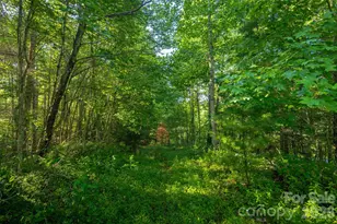 Tbd Boulder Creek Dr, Boone, NC 28607 - Photo 30