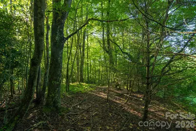Tbd Boulder Creek Drive #1, Boone, NC 28607 - Photo 8