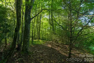 Tbd Boulder Creek Dr, Boone, NC 28607 - Photo 18