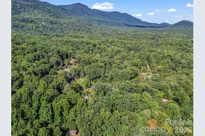 81 Jericho Drive, Tryon, NC 28782 - Photo 40