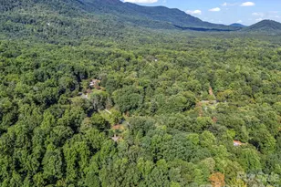 81 Jericho Dr, Tryon, NC 28782 - Photo 40