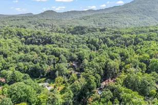 81 Jericho Dr, Tryon, NC 28782 - Photo 38