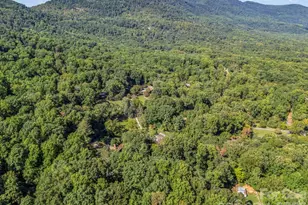 81 Jericho Dr, Tryon, NC 28782 - Photo 42