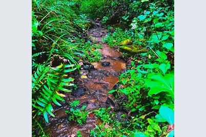 81 Jericho Drive, Tryon, NC 28782 - Photo 2