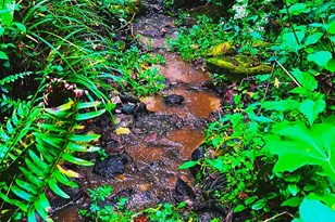 81 Jericho Dr, Tryon, NC 28782 - Photo 2