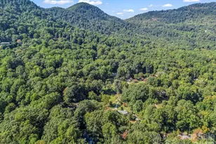 81 Jericho Dr, Tryon, NC 28782 - Photo 36