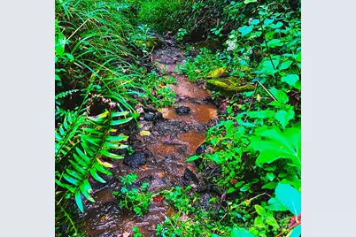 81 Jericho Drive, Tryon, NC 28782 - Photo 2