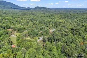 81 Jericho Dr, Tryon, NC 28782 - Photo 38