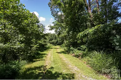 44 Giffords Lane #17, Asheville, NC 28803 - Photo 12