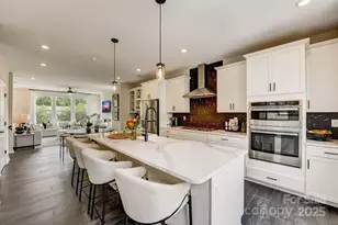 520 Annie Lowery Wy, Davidson, NC 28036 - Photo 12