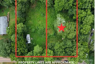 1074 Better Brook Ln, Lincolnton, NC 28092 - Photo 1