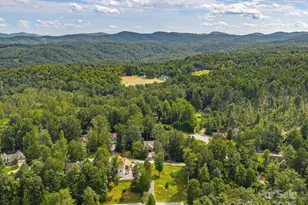 248 Wisdom Cove Rd, Flat Rock, NC 28731 - Photo 46