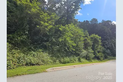 97 Destination Drive, Asheville, NC 28806 - Photo 30