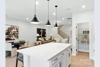 466 Nash Street, Fort Mill, SC 29715 - Photo 8