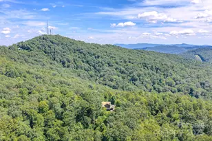 1595 Grants Mountain Rd, Marion, NC 28752 - Photo 8