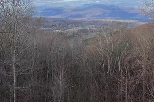 1595 Grants Mountain Rd, Marion, NC 28752 - Photo 48