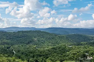 1401 Fleetwood Plaza, Hendersonville, NC 28739 - Photo 6