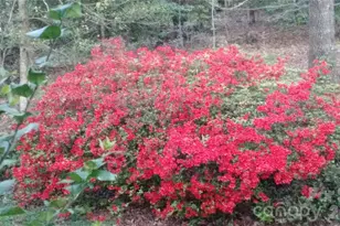 3065 Woodstream Dr, Valdese, NC 28690 - Photo 2