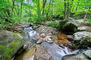 9405 Nc 261 Hwy, Bakersville, NC 28705 - Photo 32