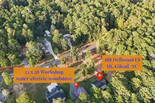 188 Delwood Ct, Mount Gilead, NC 27306 - Photo 22