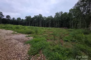 274 Deerchase Cir, Statesville, NC 28625 - Photo 10