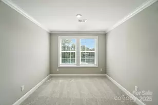 12123 Lavinia Ln, Charlotte, NC 28277 - Photo 36