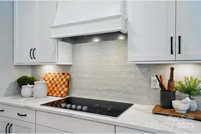 12056 Lavinia Lane, Charlotte, NC 28277 - Photo 4