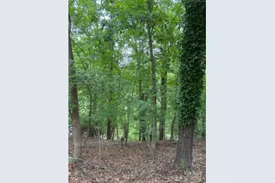 10046 Tepa Place, Tega Cay, SC 29708 - Photo 1