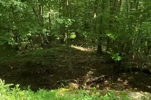 10 Mountain Gait Dr, Mars Hill, NC 28754 - Photo 4