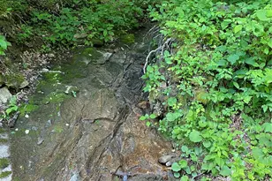 10 Mountain Gait Dr, Mars Hill, NC 28754 - Photo 6