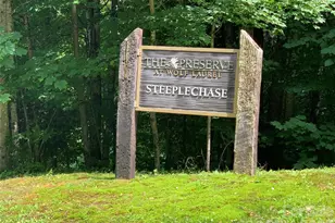 10 Mountain Gait Dr, Mars Hill, NC 28754 - Photo 16
