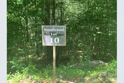 10 Mountain Gait Drive, Mars Hill, NC 28754 - Photo 14